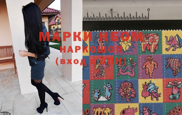шишки Аркадак