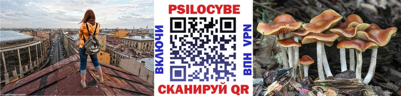 kraken как зайти  это официальный сайт  Псилоцибиновые грибы Psilocybine cubensis  Жуковка 